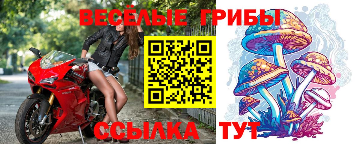 Галлюциногенные грибы Magic Shrooms  Вход с VPN  Канаш 