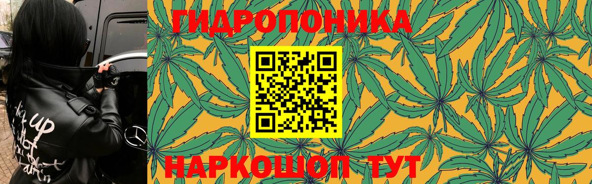 Канаш  МАРИХУАНА Bruce Banner  Вход с VPN  Бошки Шишки ГИДРОПОН  МАРИХУАНА индика 